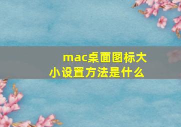 mac桌面图标大小设置方法是什么