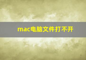 mac电脑文件打不开