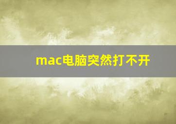 mac电脑突然打不开