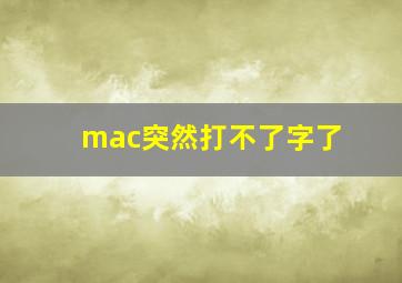 mac突然打不了字了