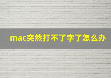 mac突然打不了字了怎么办