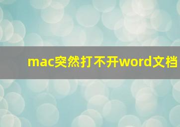 mac突然打不开word文档