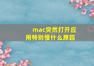 mac突然打开应用特别慢什么原因