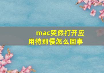 mac突然打开应用特别慢怎么回事