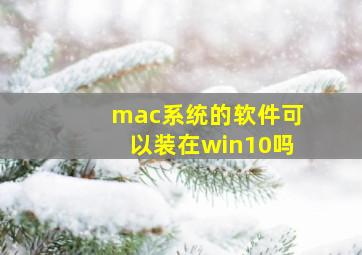 mac系统的软件可以装在win10吗