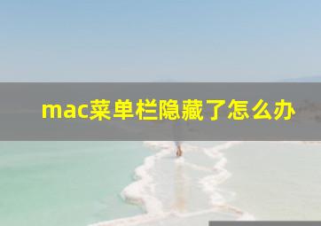 mac菜单栏隐藏了怎么办