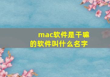 mac软件是干嘛的软件叫什么名字