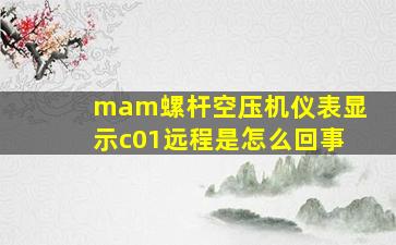 mam螺杆空压机仪表显示c01远程是怎么回事