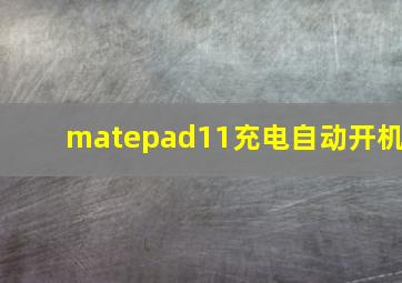 matepad11充电自动开机