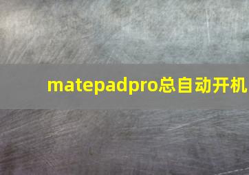 matepadpro总自动开机