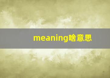 meaning啥意思