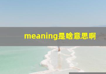 meaning是啥意思啊