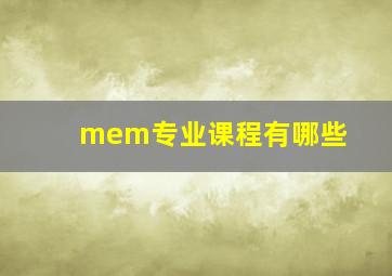 mem专业课程有哪些