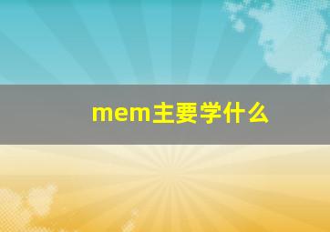 mem主要学什么