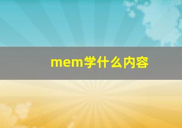 mem学什么内容