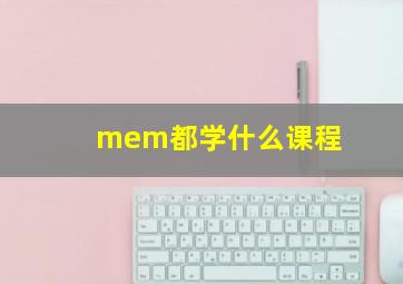 mem都学什么课程