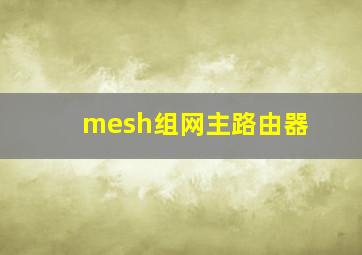 mesh组网主路由器