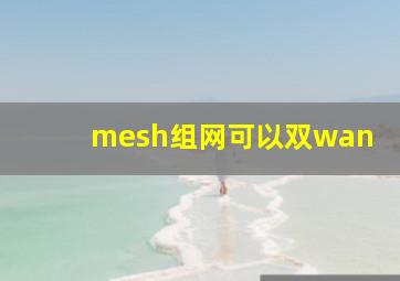 mesh组网可以双wan