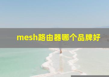 mesh路由器哪个品牌好