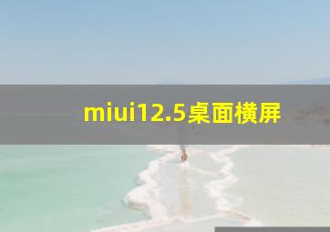 miui12.5桌面横屏