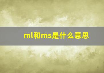 ml和ms是什么意思