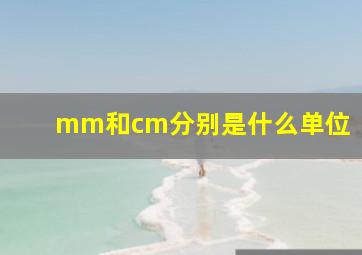 mm和cm分别是什么单位