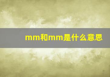 mm和mm是什么意思