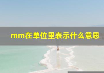 mm在单位里表示什么意思