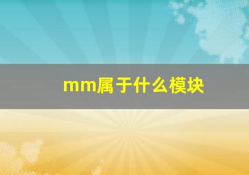 mm属于什么模块