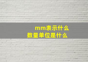 mm表示什么数量单位是什么