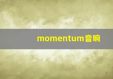 momentum音响