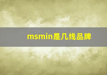 msmin是几线品牌