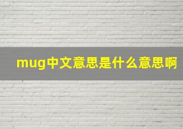 mug中文意思是什么意思啊