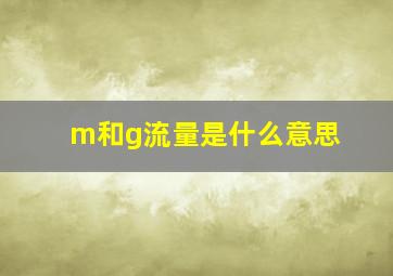 m和g流量是什么意思