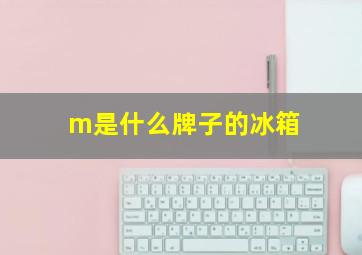 m是什么牌子的冰箱