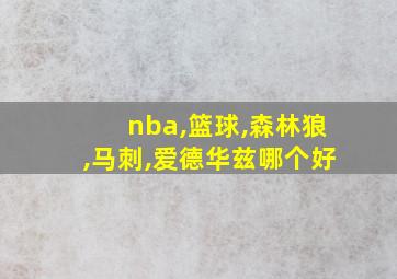 nba,篮球,森林狼,马刺,爱德华兹哪个好