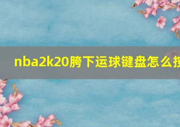 nba2k20胯下运球键盘怎么按