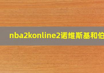 nba2konline2诺维斯基和伯德