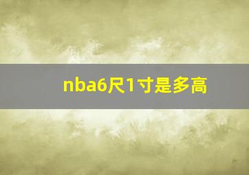 nba6尺1寸是多高