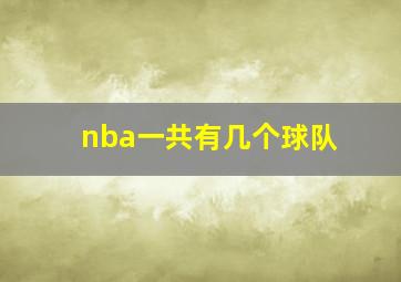 nba一共有几个球队