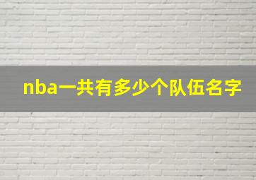 nba一共有多少个队伍名字