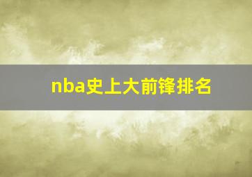 nba史上大前锋排名