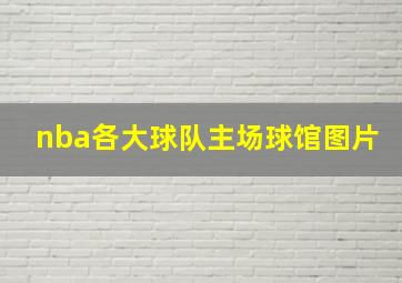 nba各大球队主场球馆图片