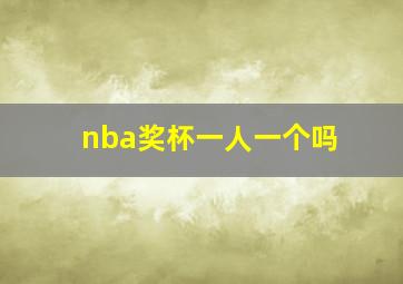 nba奖杯一人一个吗