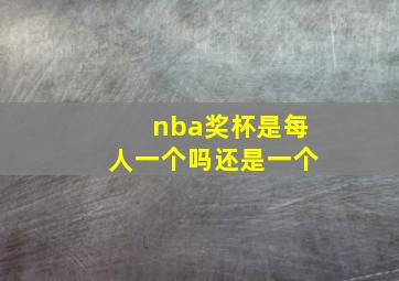 nba奖杯是每人一个吗还是一个