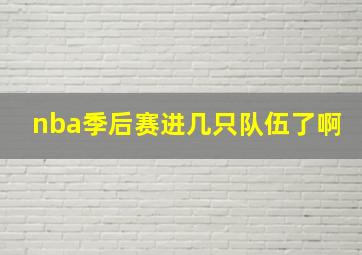 nba季后赛进几只队伍了啊