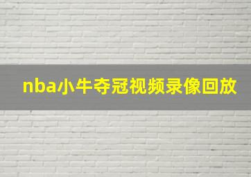 nba小牛夺冠视频录像回放