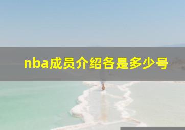 nba成员介绍各是多少号