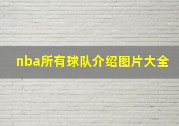 nba所有球队介绍图片大全