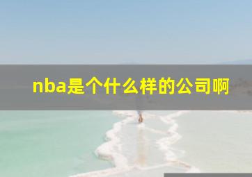 nba是个什么样的公司啊